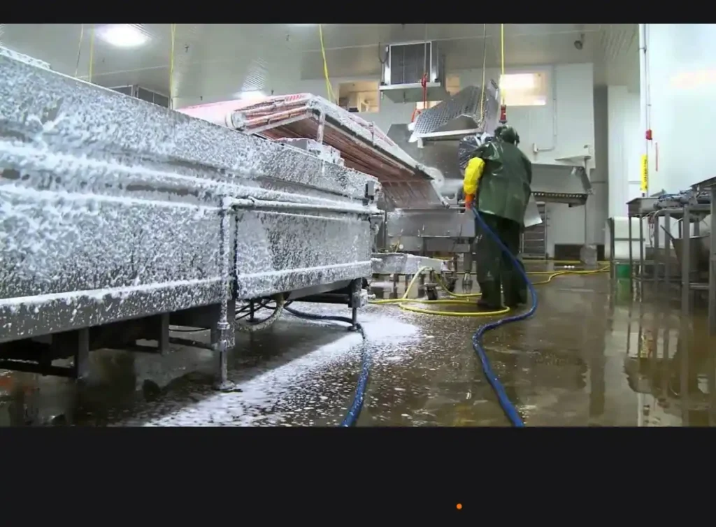 food safe pressure washer hot water
