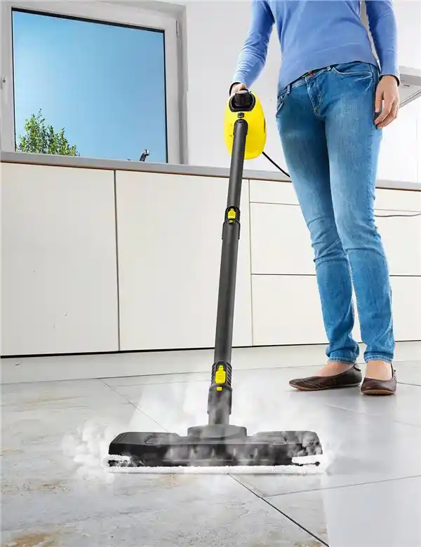 Commercial Steam Cleaner