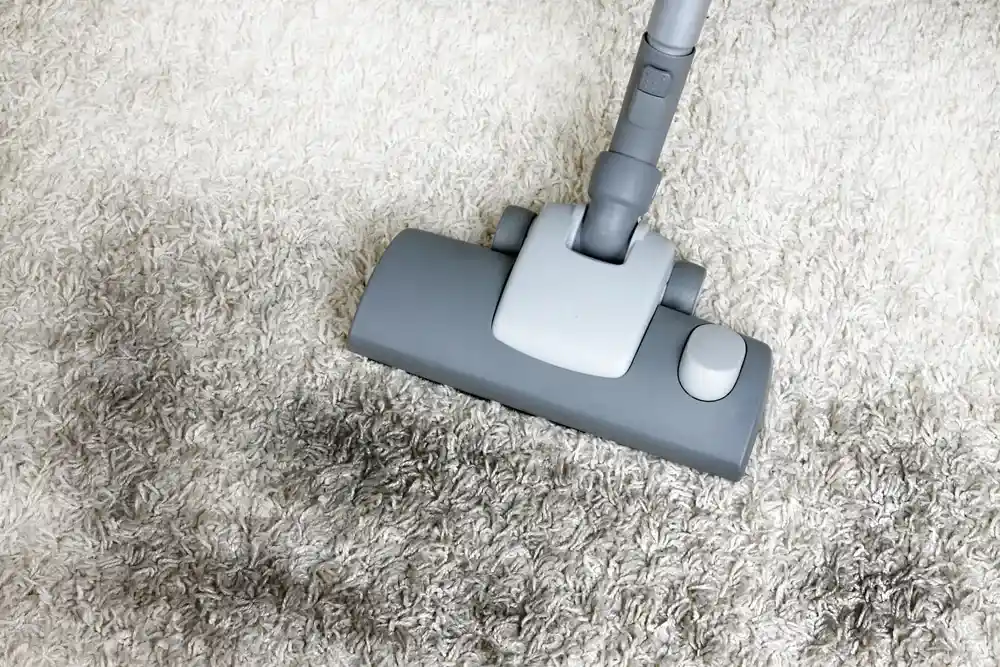 How To Get Mold Out Of Carpet