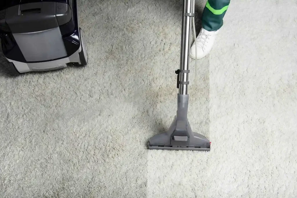 can you clean an area rug with a carpet cleaner