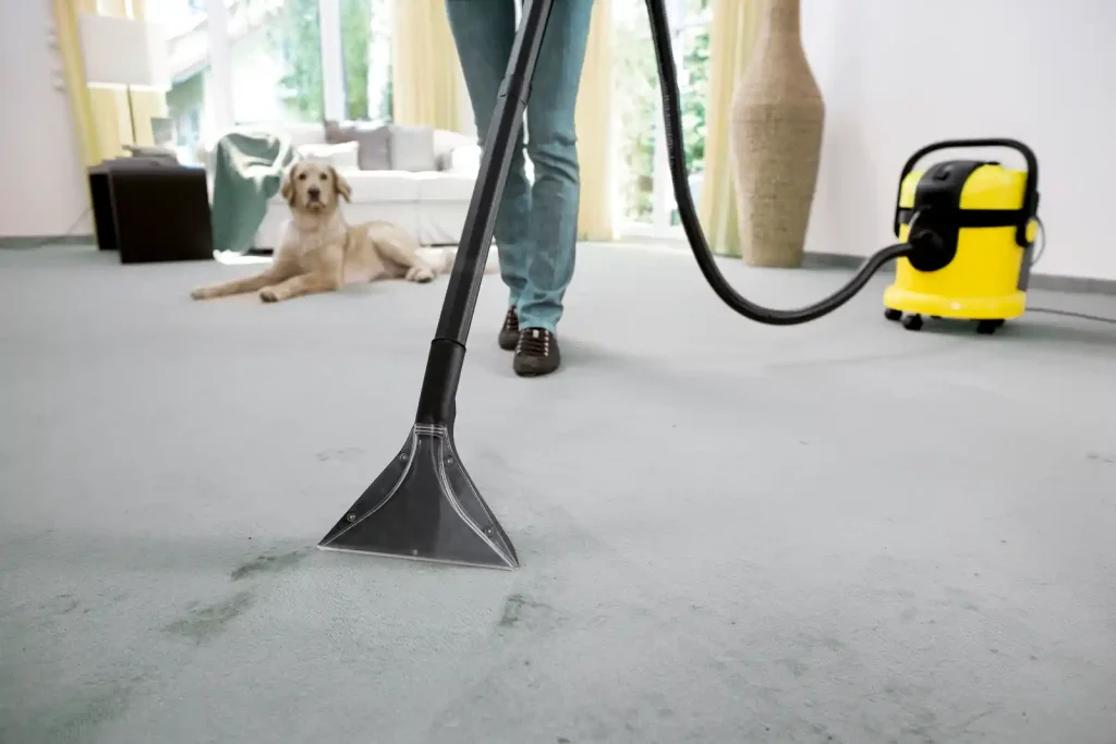 What is the Best Rated Carpet Cleaner